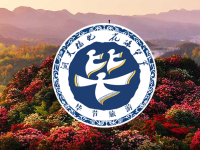 Bijie City