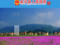 Jinsha County