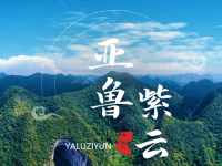 Ziyun County