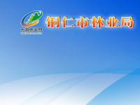 Tongren Municipal Forestry Bureau