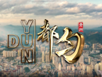 Duyun city