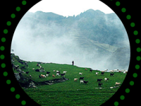 Qinglong County