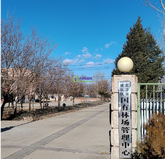 Jia Yu Guan City Forestry and Grassland Bureau