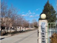 Jia Yu Guan City Forestry and Grassland Bureau Jia Yu Guan City Forestry and Grassland Bureau